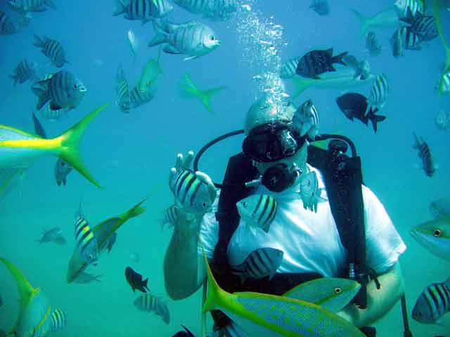 PADI open water diving