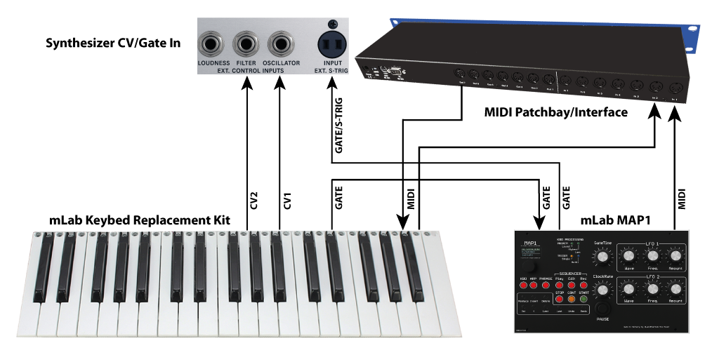 MAP1 Minimoog Controller